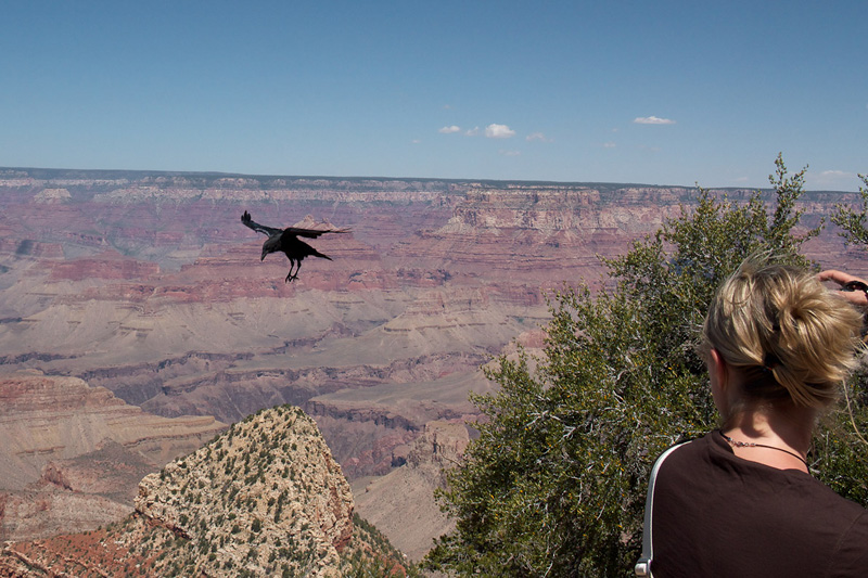 Grand Canyon National Park, South Rim, Arizona